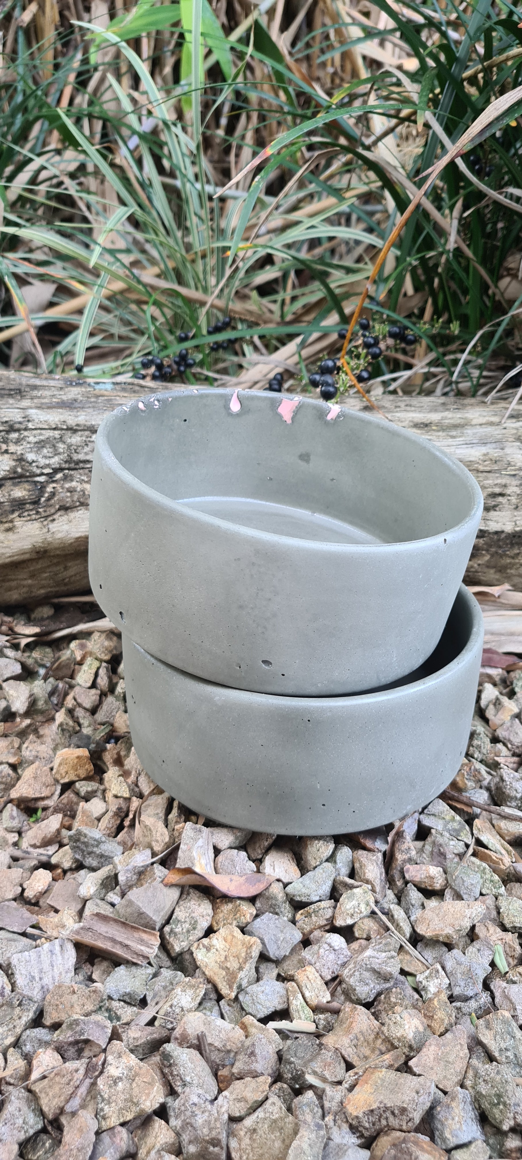 Concrete Pet Bowl